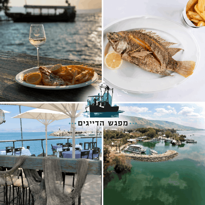 מפגש הדייגים - נמל עין גב